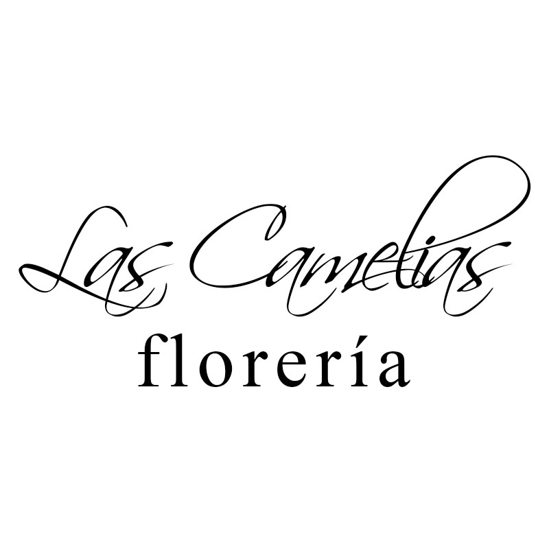 LAS-CAMELIAS LAS-CAMELIAS