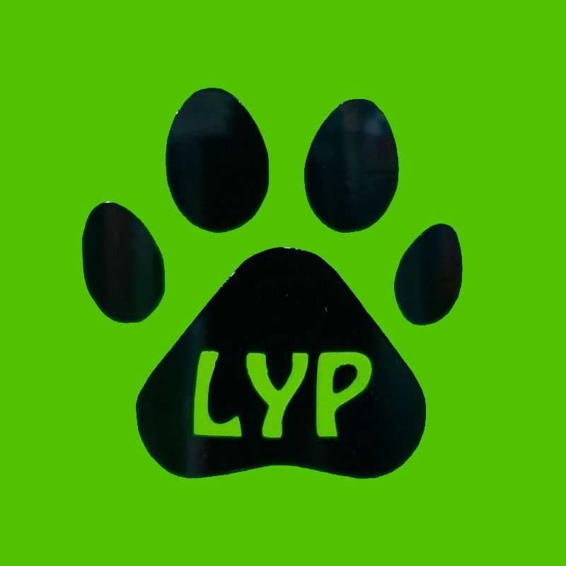 LYP LYP